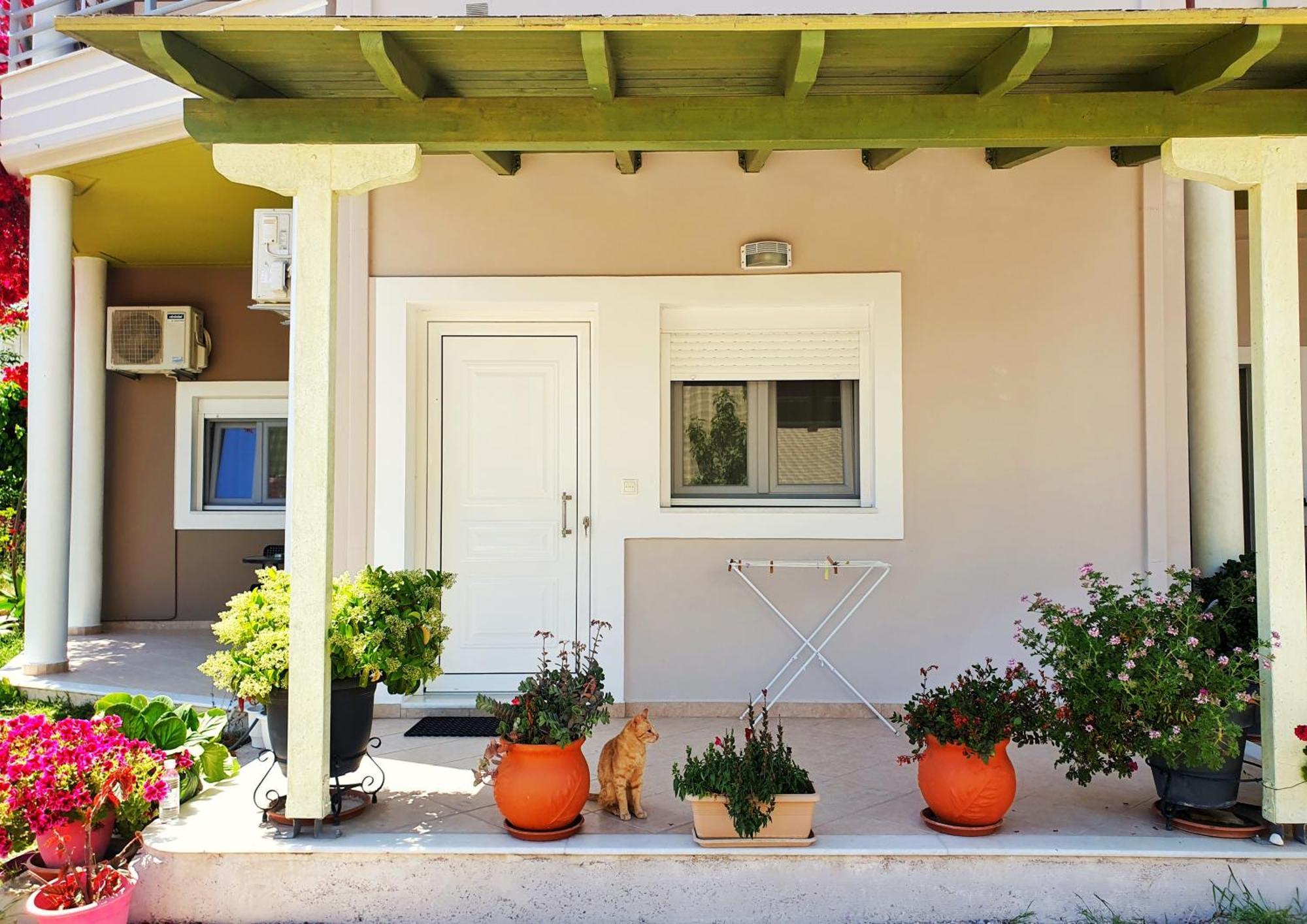 Green Studio Nidri Εξωτερικό φωτογραφία