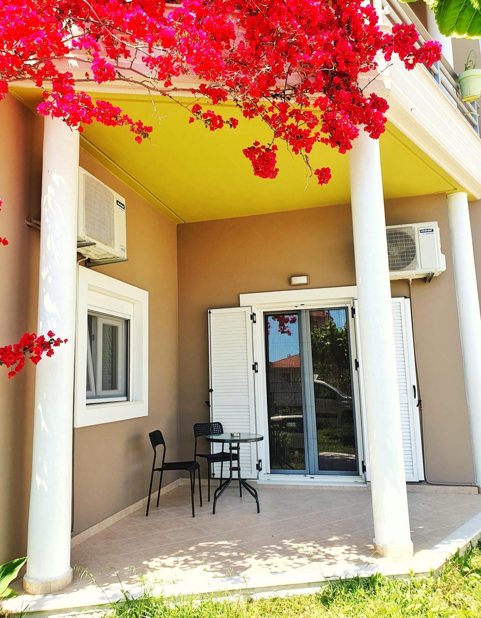 Green Studio Nidri Εξωτερικό φωτογραφία